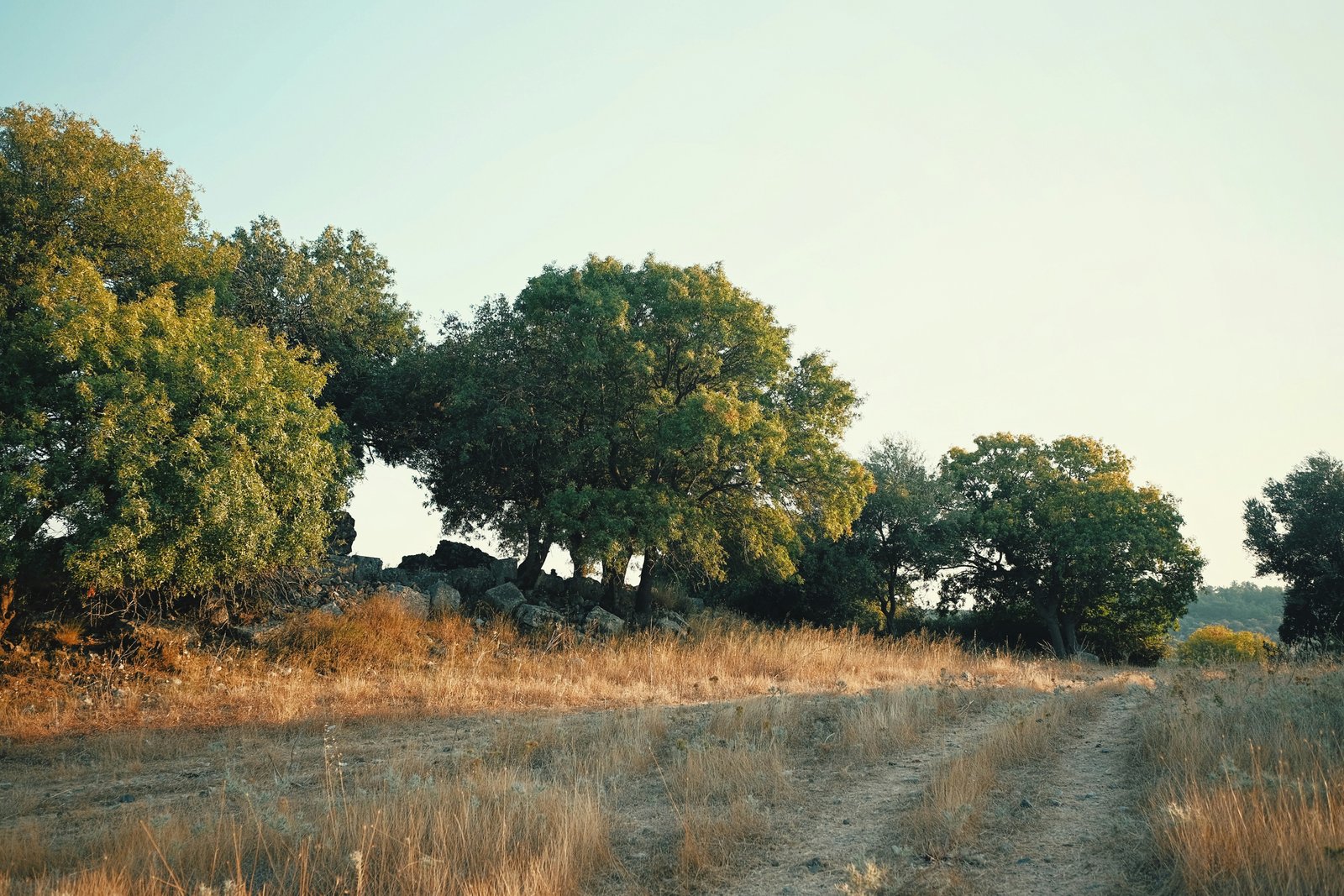 Luxury landscape view