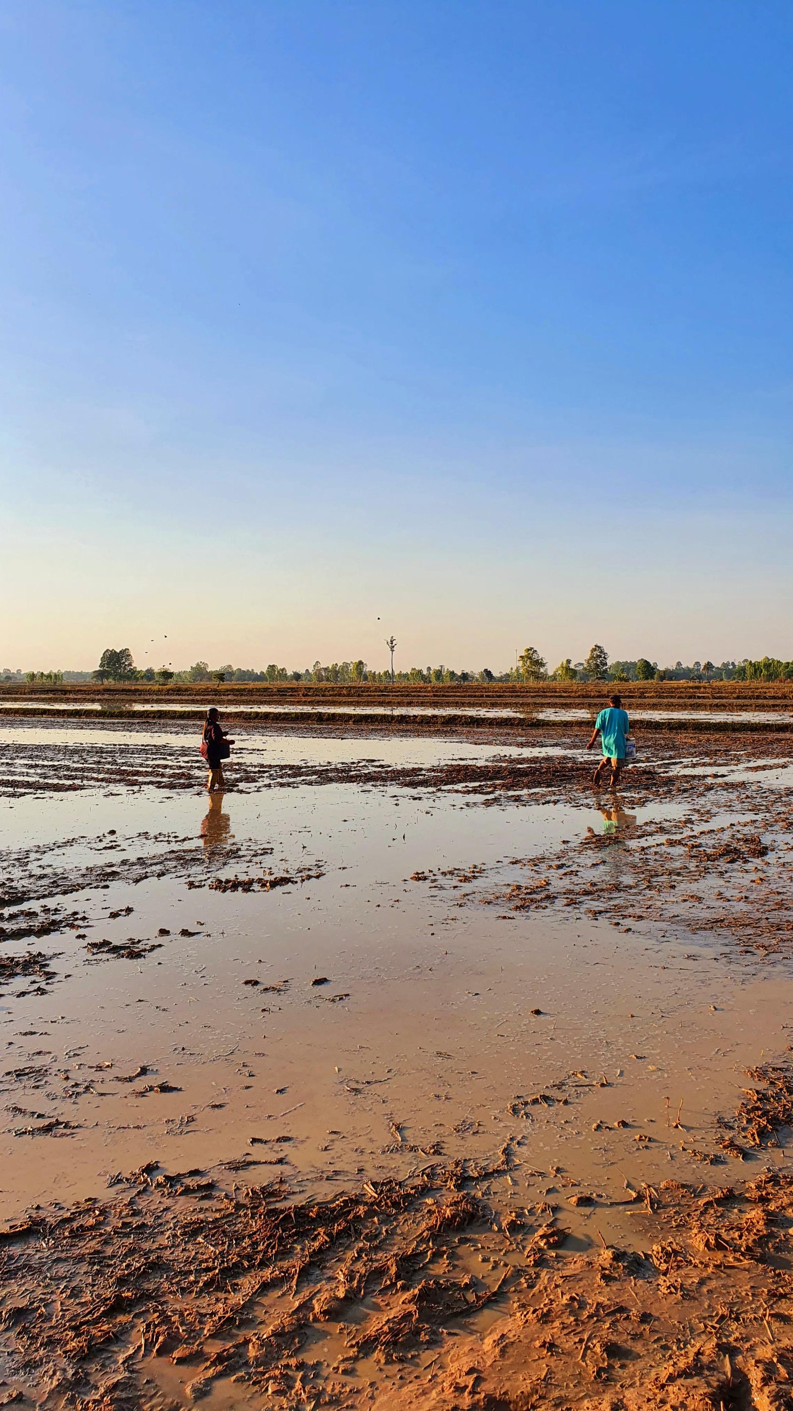 Forest investment location